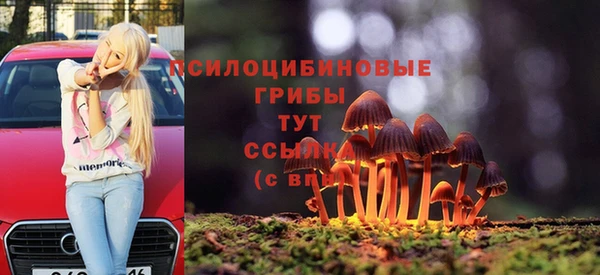 МДПВ Белокуриха